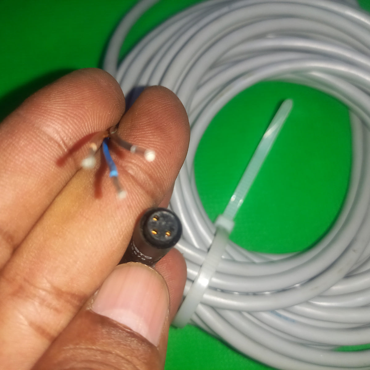 Festo 15679  Cable, 3-Pin 