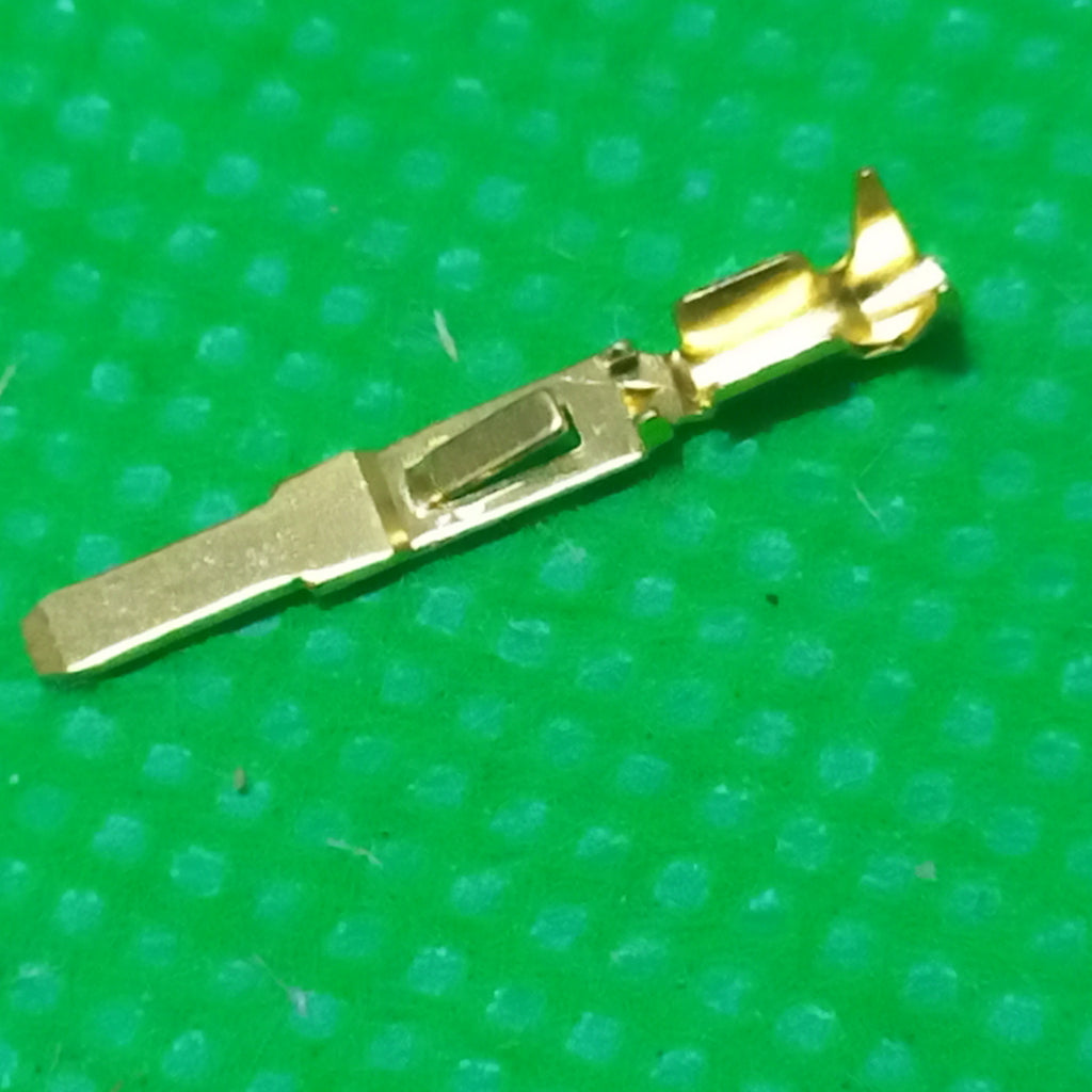 Male_GoldMRP-M113_8